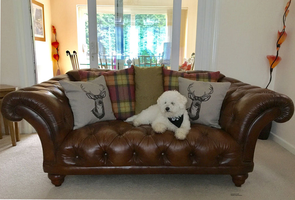 The Gatsby Chesterfield Sofa